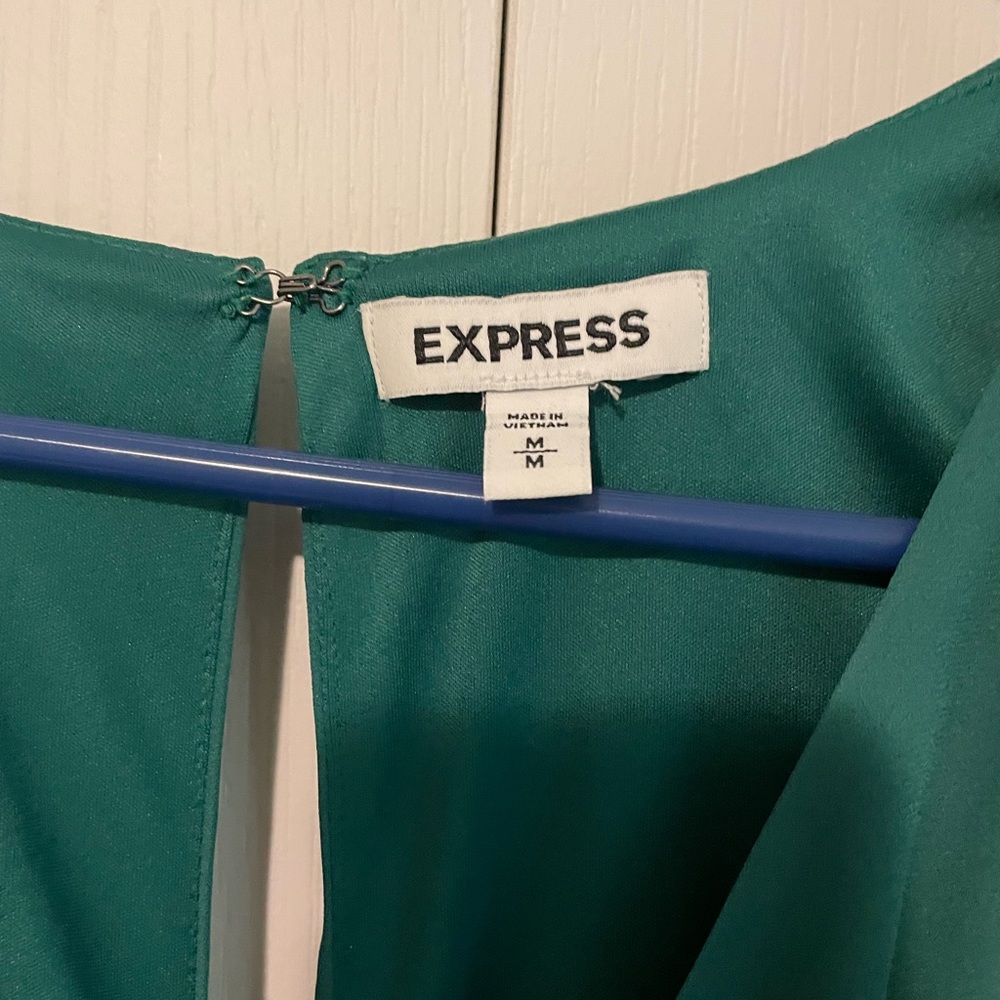 Express Dress - Picture 3 of 3